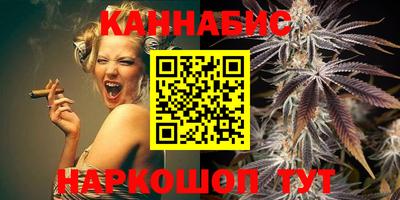 стаф Шелехов