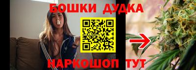 спиды Шахты