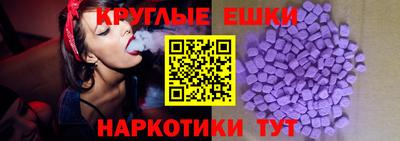 стаф Шелехов