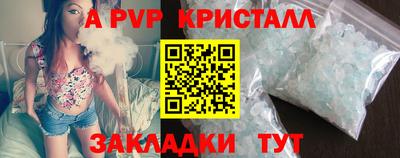 стаф Шелехов