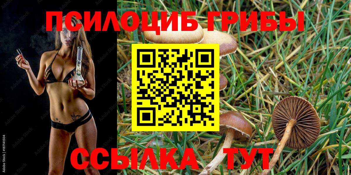 Канабис  Вейп ТГК  Боровичи  Вход с VPN  Гашиш  Марихуана  Меф  